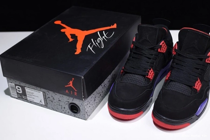 AQ3816-065 Jordan Retro NRG 4 Air Raptors